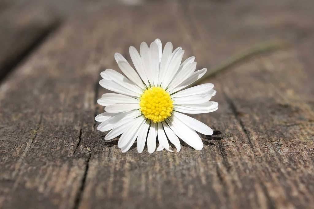 3 Easy Spring Cleaning Tips For Decks