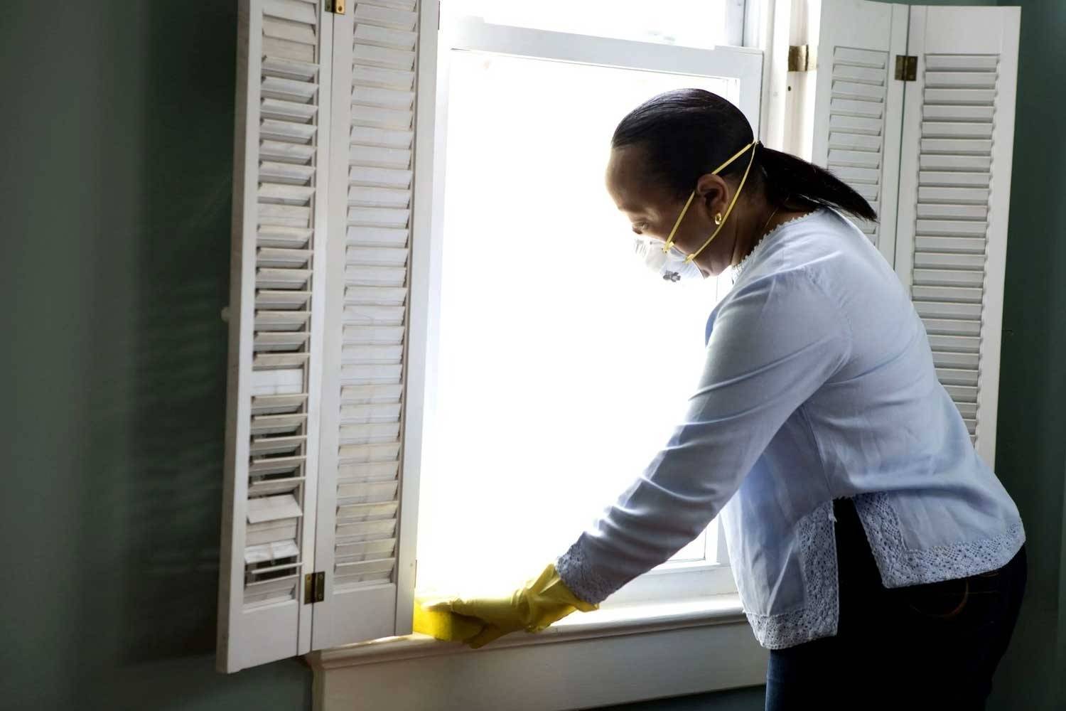 MOLD: To Kill or Clean? An Easy Guide To Mold Removal.