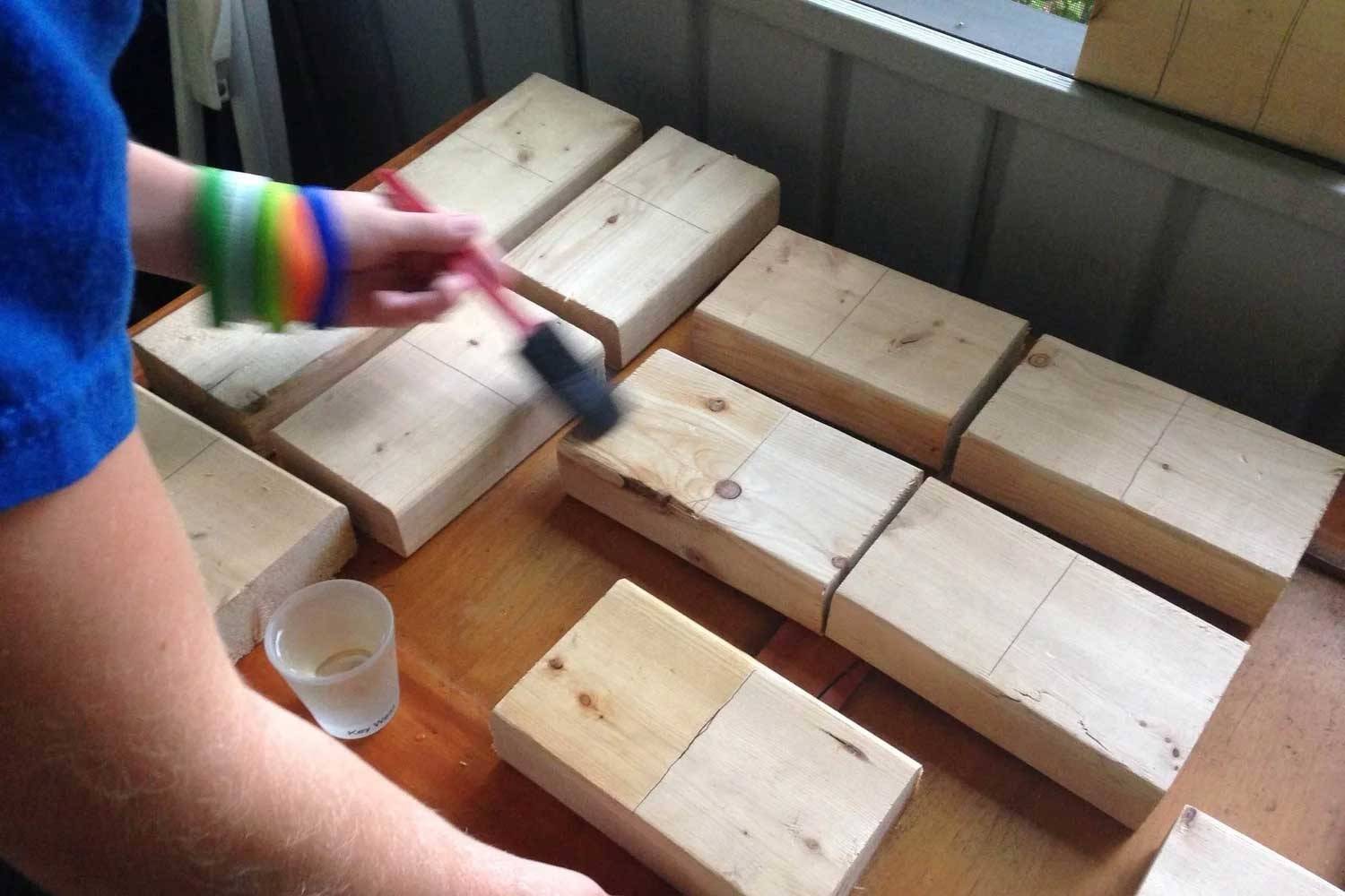 Amazing Mold Experiment- Preventing mold on wood!